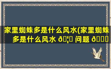 家里蜘蛛多是什么风水(家里蜘蛛多是什么风水 🦁 问题 🐞 )